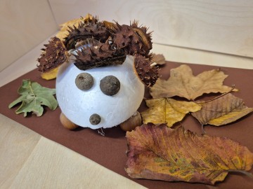 Adam Statkiewicz, „Jesienny jeż”, Szkoła Podstawowa im. Wł. Jagiełły w Starych Skoszewach, 